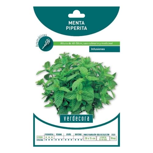 SEMILLAS MENTA VERDECORA