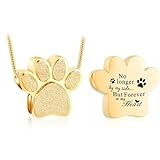 Hearbeingt Joyería de recuerdo para mascotas con estampado de patas, collar con colgante de urna de cenizas, regalos conmemorativos para cenizas de perro y gato, Acero inoxidable, No es una piedra