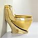 Dual Flush Elongated One-Piece Toilet with Removable Soft Closing Seat, Comfort Universal Height, Mute Flush Design for Hotel & Home Bathroom Use(220mm)