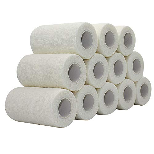 ȔS Lk e 10cm*4.5m*12 GX`bNof[W