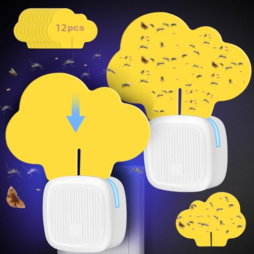 How to catch a moth How to catch a moth