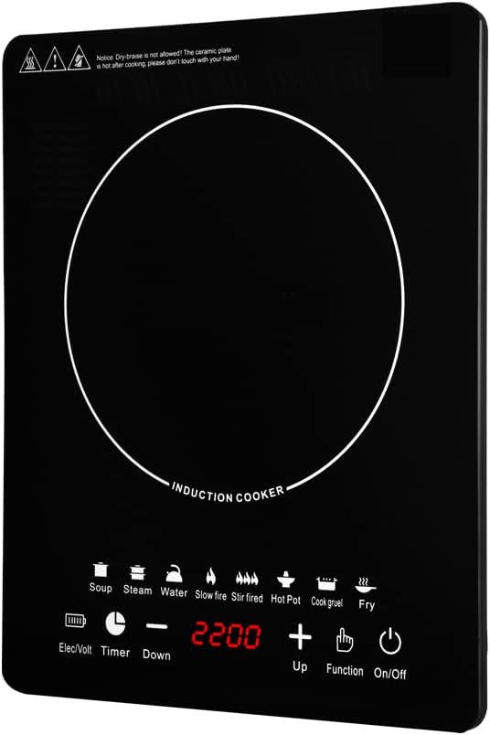 Portable Induction Burner, 2200W Electric Induction