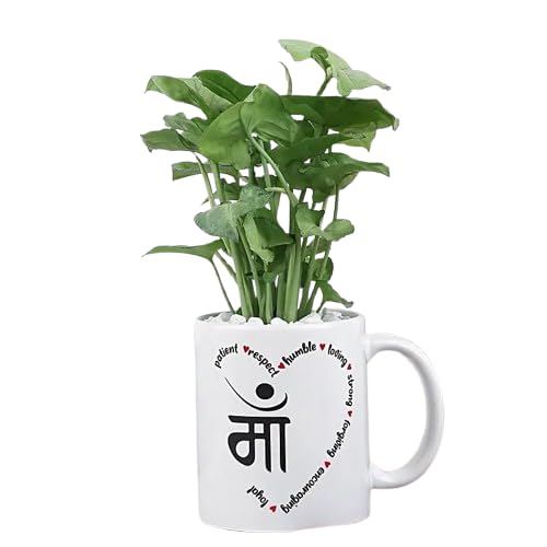fnp Syngonium Mug Love For mom| Best Gift For Mom| Best Gift for Mother's Day| Unique & Creative Gifting Ideas For Mummy