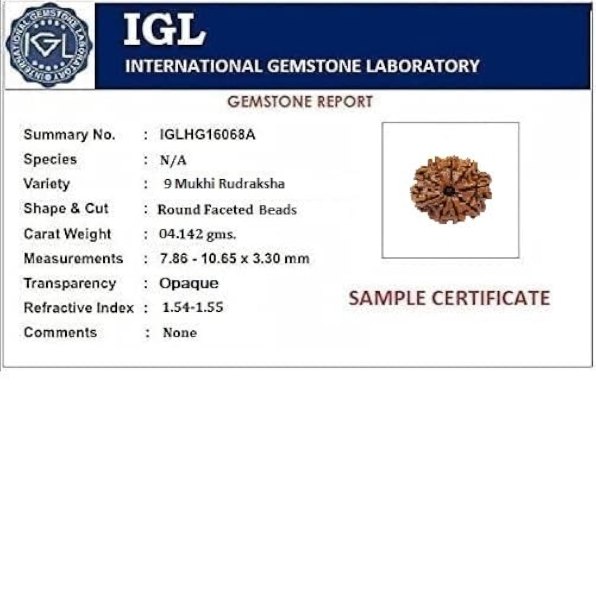 9 Mukhi Nepali Rudraksha, Certified Original Bead