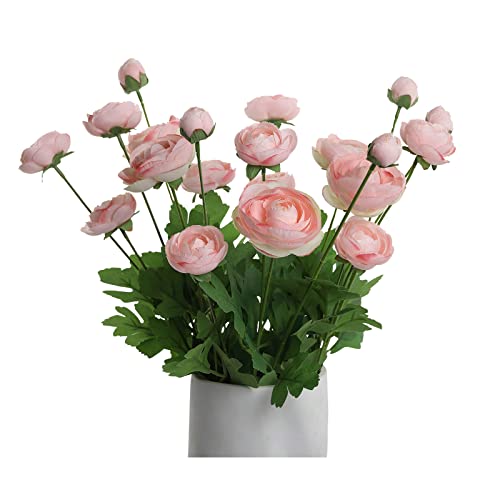 GLSATEMAN Pink Ranunculus