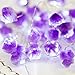 BOHON Decorative Lights Amethyst LED String Lights Battery Operated with Remote 10 ft 40 LEDs Natural Crystal String Lights for Bedroom Party Indoor Birthday Wedding Decor