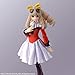Square Enix Xenogears: Maria Balthasar & Chu-chu Bring Arts Action Figure