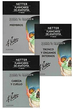 PACK NETTER FLASHCARDS DE ANATOMIA : Amazon.com.mx: Libros
