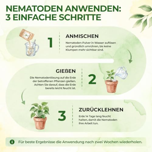 GREEN GUARDIA SF-Nematoden gegen Trauermücken – 6 Mio. (60 Pflanzen/12m²) – Ansicht 5