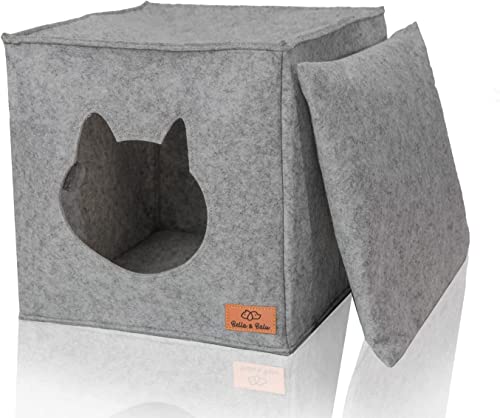 Bella & Balu | M - Scatola per cani e gatti - Grigio chiaro | 43 x 31 x 34cm Scatola per cani da trasportare per le vacanze e le escursioni in aereo Auto traspirante, traslucida