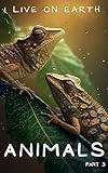 snow patrol life on earth lyric  I Live On Earth - Animals : Part 3 (English Edition)