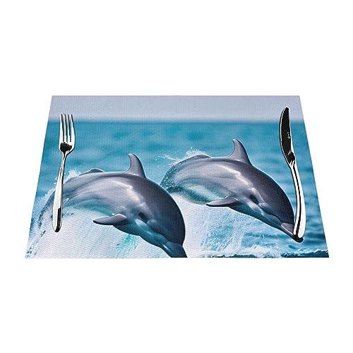 Set de table en vinyle anti-rayure et résistant à la chaleur pour table de salle à manger