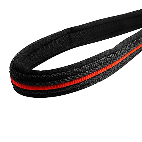 Expert Tips for Dog Leash Use