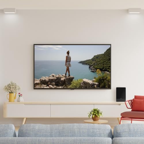 Hama Zimmerantenne Pro aktiv für DVB-T und DVB-T2 Empfang