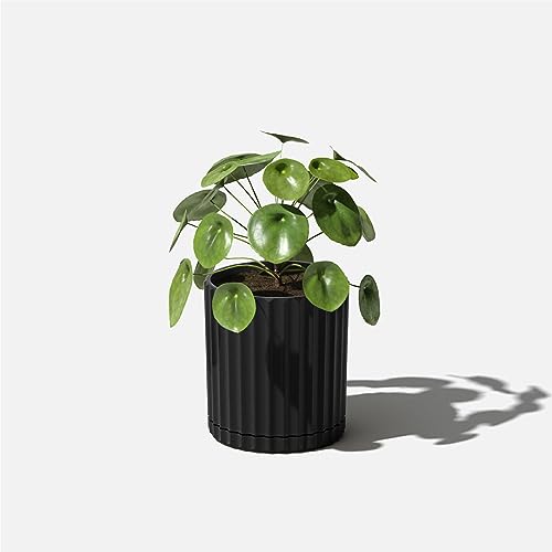Image of Veradek Demi Series Demi 6 inch Planter w /Tray, Black
