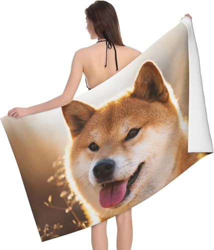 Č  G 킢 oX^I 唻 z y  R hL ӂӂ Ԃp ƒp q  lC v[g