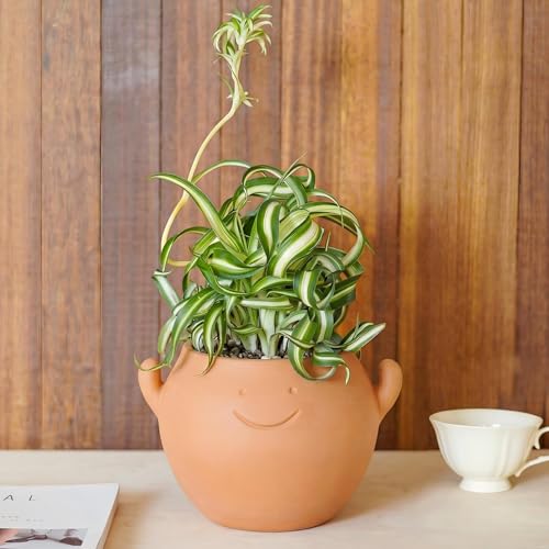 50% Off Cute Smiley Face Terracotta Planter Pot with Drainage