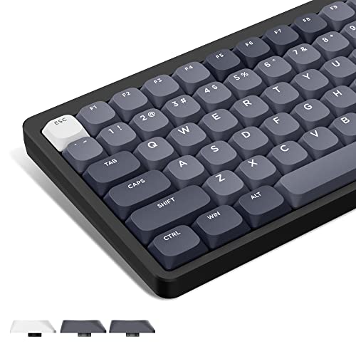 THT 98Keyロープロキーキャップセット(PBT/MX)自作キーボード ロープロファイル染料サブPBT LSAフルセット・キーキャップ