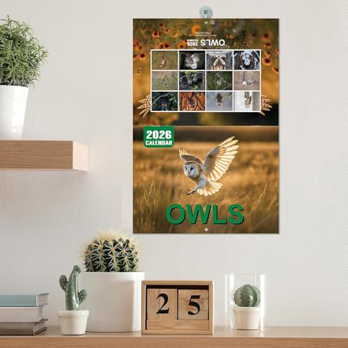 Calendario da parete 2026 Calendario da parete, agenda mensile, organizer