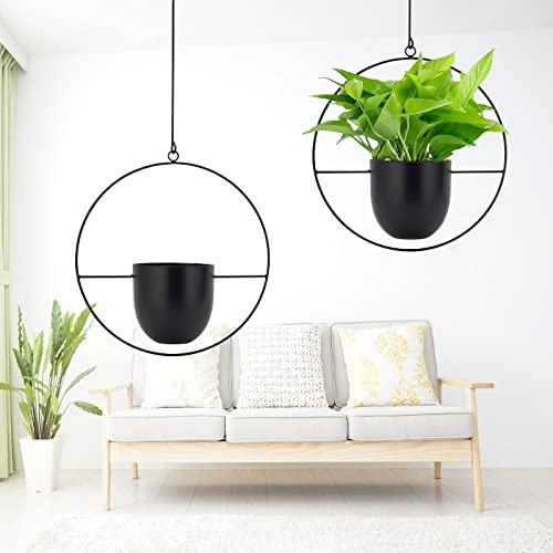 NCGL Suspension pour Plantes en Acrylique