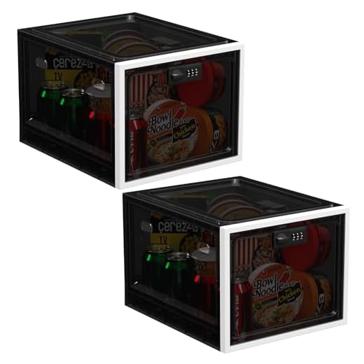 iBune Large Medication Lock Box Pack