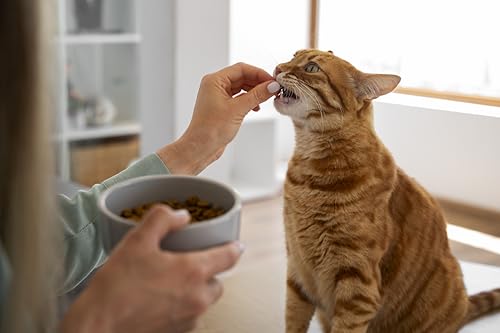 Canina Barfer's Best für Katzen, 500 g
