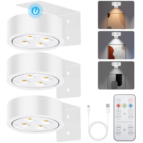 SIXDEFLY Luzes de imagem para parede, 3 modos de iluminação, luz de exibição de arte magnética, luz