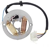 Für PW80 Y-Zinger 80 PY80 CY80 LX80PY Magneto-Statorspule Stator Spule