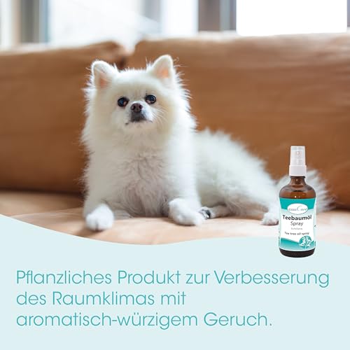cdVet Naturprodukte casaCare Teebaumöl Spray 100 ml - Duftölspray - angenehmer + frischer Duft - Reinigung der Atemluft - Verbesserung Raumklima - ätherische Öle - Wohlbefinden - natürlich -