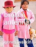 broken antenna