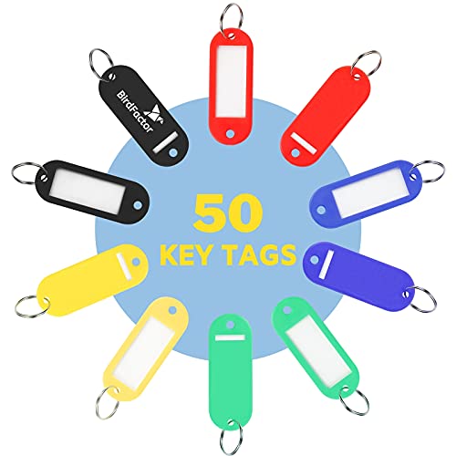 50 Stück Schlüsselanhänger beschriftbar mit Etiketten – 5 Farben, Kunststoffbox mit extra Etiketten, Schlüssel Anhänger und Schlüsselschilder mit Ring auch für Haustiere, Gepäckstücke oder USB Sticks