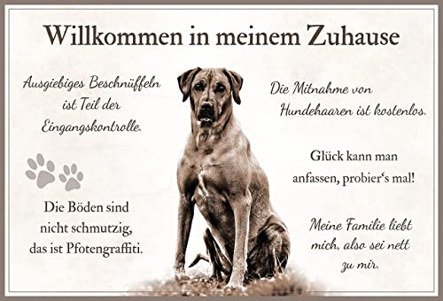 ZAUBERBILD Hundeschild Warnung | Rhodesian Ridgeback 'Willkommen in Meinem Zuhause' | Warnschild Vorsicht Hund | 25x17cm Alu