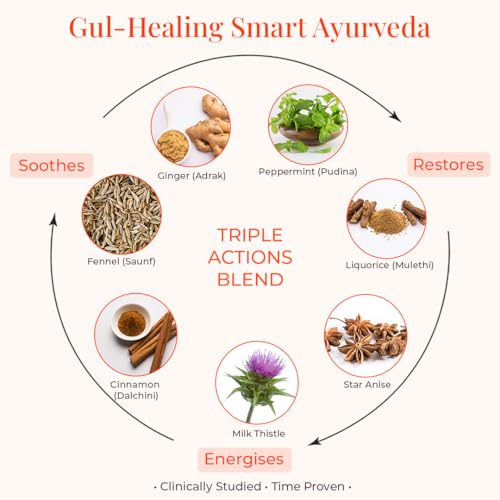 Image of JiViSa Mountain Blend Gut Health Herbal Tea for Digestion & Bloating Relief with Fennel, Ginger, Peppermint, Milk Thistle, Cinnamon, Star Anise & Liquorice | Pouch 50g
