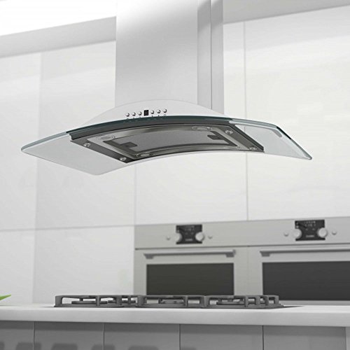 Z Line Gl9I-30 Stainless Steel And Glass Island Mount Range Hood, 30-Inch #TOP3