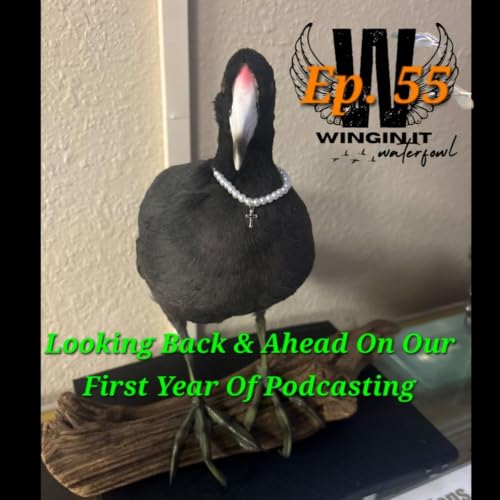 Ep. 55 Looking Back & Ahead On Our First Year Of Podcasting