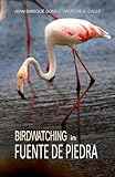 Birdwatching in Fuente de Piedra