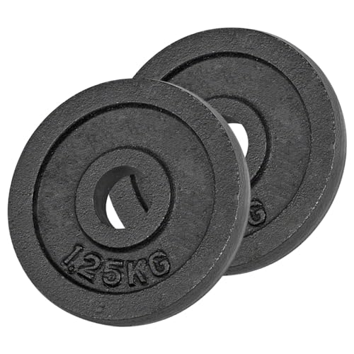 Hantelscheibe aus Gußeisen, Hantel, Gewichte, 2x Stück: 1,25 kg