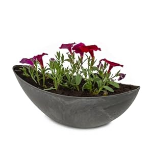 Matches21 Home & Hobby Ovale Pflanzschale Schwarz 39cm