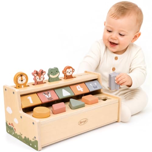 Joyreal Juguetes Niños 1 Año, Montessori Pop Up Animales de Juguetes Bebe