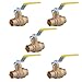 Hausen 1/2" FP Ball Valve SWT 600 PSI LF, 5-Pack