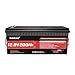 Dumfume 12V 200Ah LiFePO4 Lithium Battery, Built-in 200 BMS 8000+ Deep Cycles, Low Temperature Protection Rechargable Lithium Iron Phosphate Battery for RV, Solar,Off Grid Applications