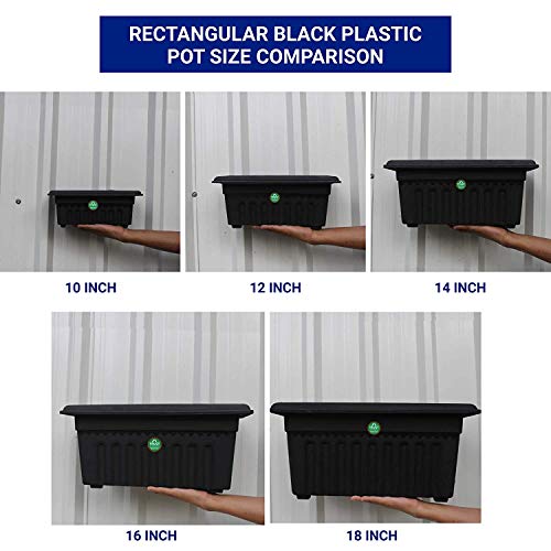 TrustBasket UV Treated Rectangular Plastic Planter (10 inches) - Black Color- Set of 3 | Heavy Duty Highly Durable Plant containerGamla for Indoor Home Decor & Outdoor Balcony Garden