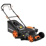 cortacesped anova cc246t ⚡ Para generar potencia suficiente y cortar hierba densa con uniformidad, la máquina equipa un motor de 180 cc que desarrolla 5 HP.