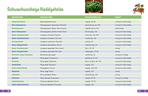 Balkon für Faule: Ganzjährig grün mit winterharten Pflanzen - 3