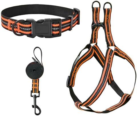 Mile High Life Night Reflective Double Adjustable Band Nylon Small Puppy Pet Dog Combo Collar Leash and Harness Set (Reflective Stripe Orange, Small (Pack of 3))