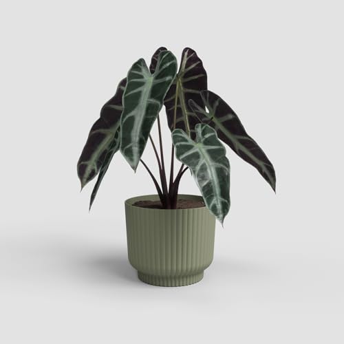 Artevasi Blumentopf Miami Wavy 20cm Weissgrün – eleganter Übertopf mit Wellenstruktur, mattem Finish – ideal als Pflanzkübel für Moderne Räume