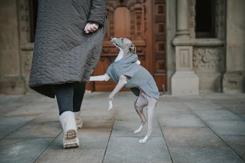 HUNTER Hundepullover RÖGLA, Farbe: grau, leichter Strickpullover mit Plüsch-Kapuze, weich & elastisch, liebevolle Details, natürlicher Bewegungsablauf, hoher, waschbar bei 30°C, Größe: 25