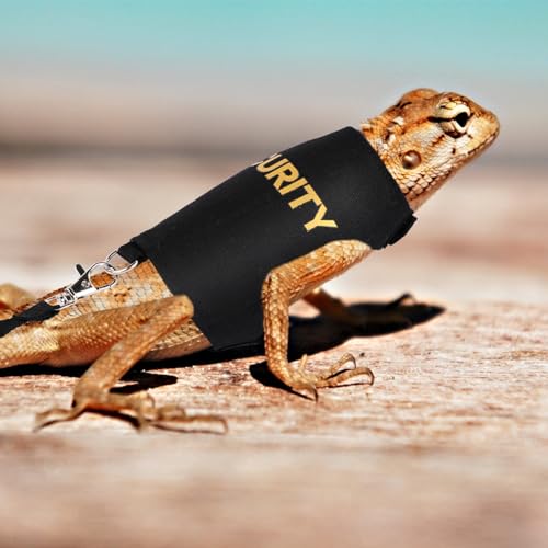 Conjunto de coleira e arnês de dragão barbudo, coleira de réptil de lagarto ajustável, acessórios de