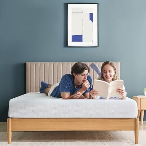 ZINUS 8 Inch Green Tea Mattress Cover