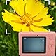 4K-Digitalkamera, 48 MP HD-Taschen-Mikro-Spiegelreflexkamera mit 16-fachem Dightal-Zoom, 2,4-Zoll-TFT-Bildschirm, Kompakte Kleine Kamera für Reisefotografie-Vlogging ()
